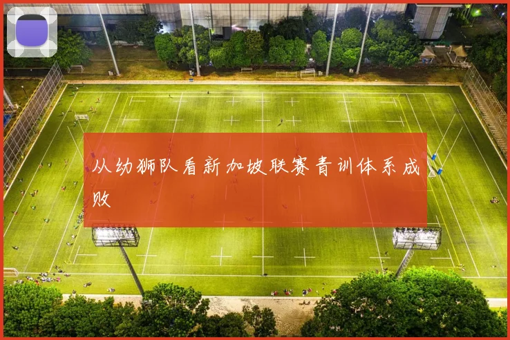 从幼狮队看新加坡联赛青训体系成败