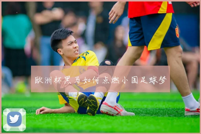 欧洲杯黑马如何点燃小国足球梦