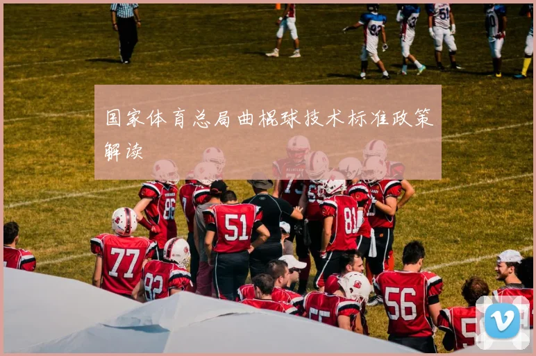 国家体育总局曲棍球技术标准政策解读