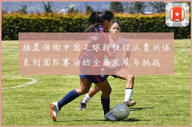 杨晨领衔中国足球新征程从青训体系到国际赛场的全面发展与挑战