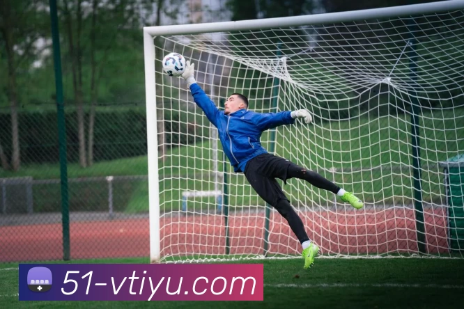 vtiyu平台生态图